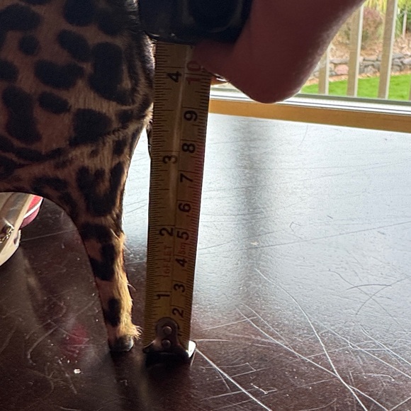 Sam Edelman Leopard Heels with Striped Red Bow - Picture 6 of 6